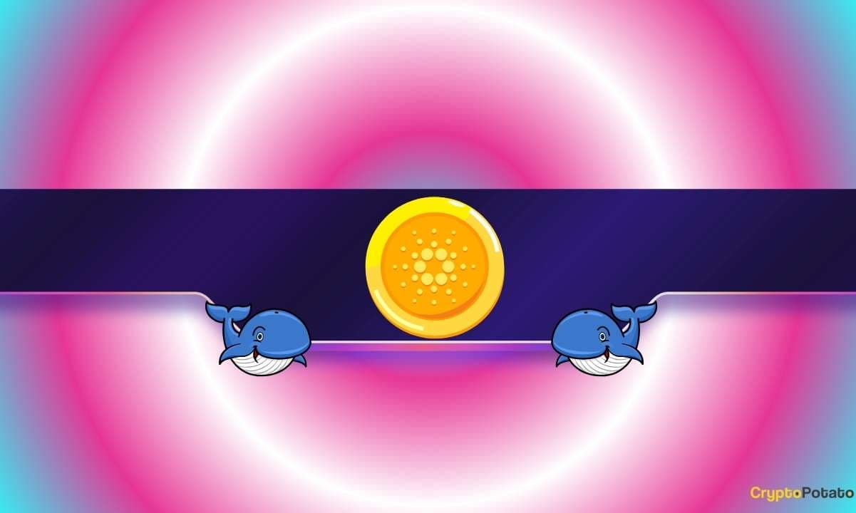 230.000 de ADA en 1 semana: ¿Cartano se enfrenta a una gota renovada?